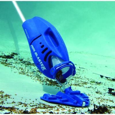 Ручной пылесос Watertech Pool Blaster MAX