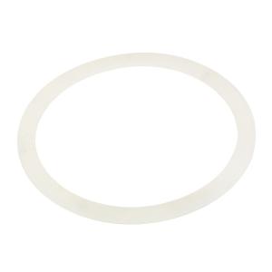 Уплотнительное кольцо AquaViva прожектора LED/UL-TP100 2021055