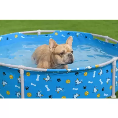 Каркасный бассейн для животных 122х30,5см  "Fetchin' Fun Pet Play Pool" 