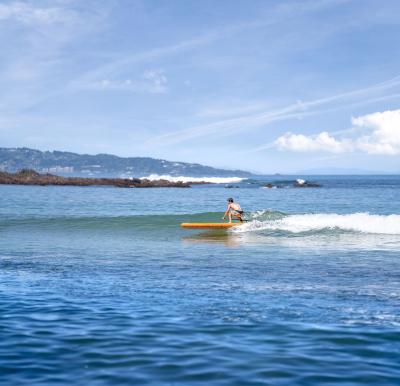 SUP-доска "AM go iSUP" 320х15см, плавник с электромотором BLUEDRIVE S и аккумулятором, насос, весло, лиш, киль, ремнабор