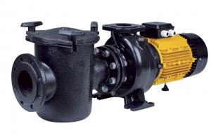 Насос "CFRP" чугунный с предфильтром 165 м3/ч, Н=12, 9.2 кВт, 380В